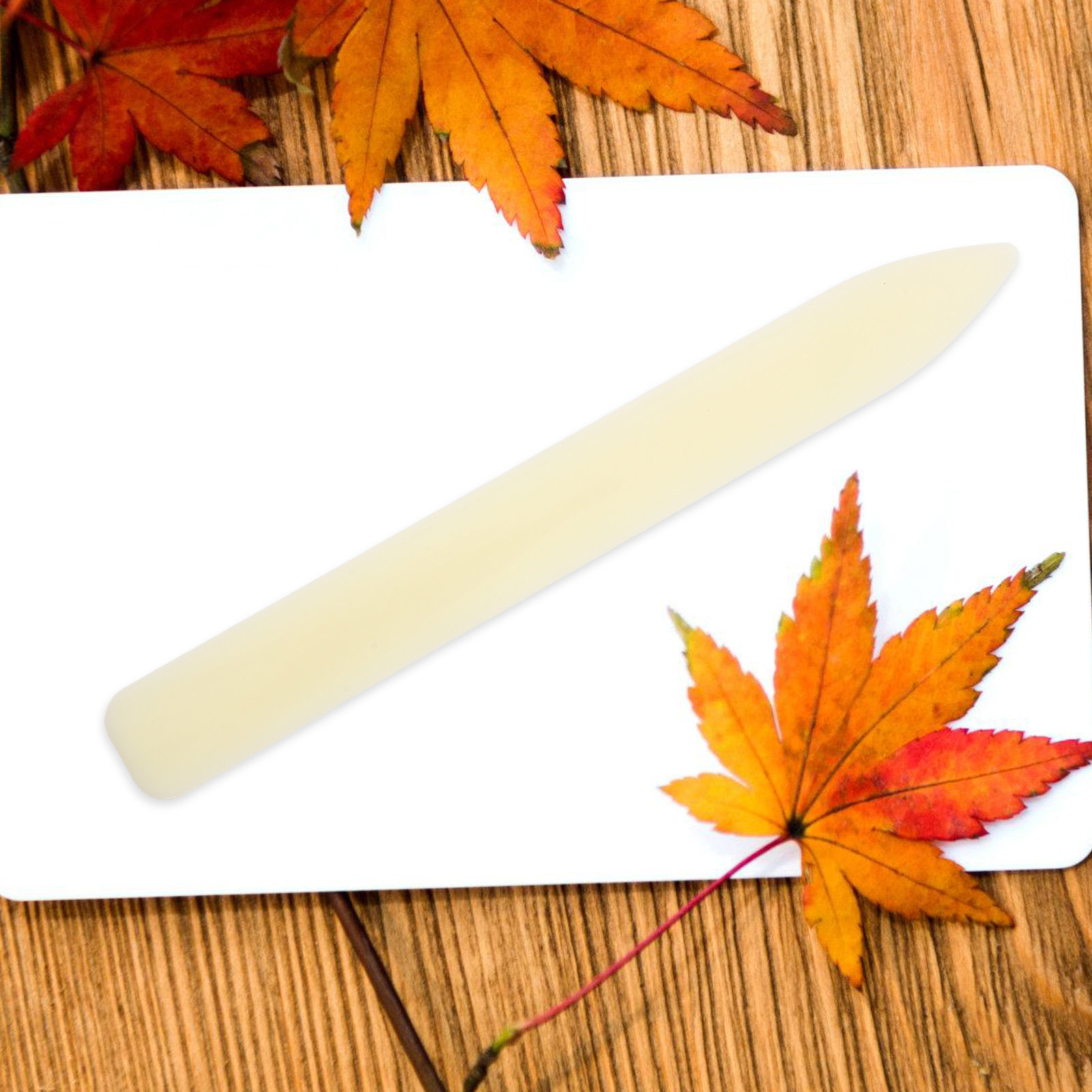 5 ชิ้น ที่พับกระดาษแบบกระดูกพล - Bone Folder Tool บทวิจารณ์และราคา